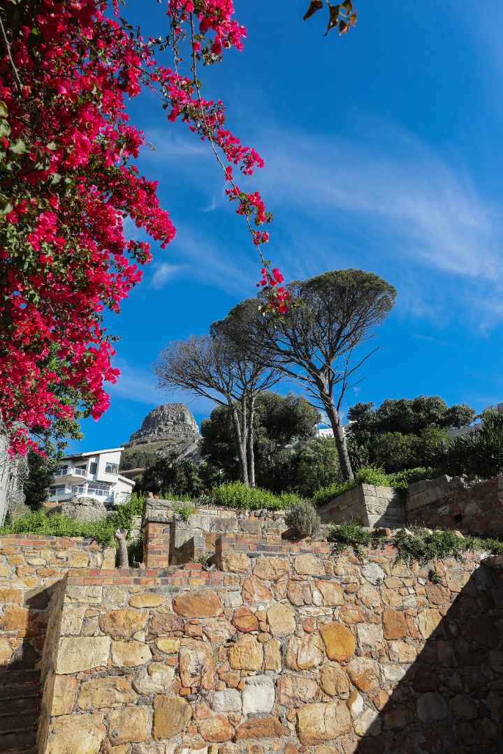 0 Bedroom Property for Sale in Fresnaye Western Cape